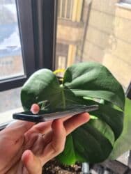 сколько стоит самсунг с 8: Samsung Galaxy A3 2017, Б/у, 16 ГБ, цвет - Черный, 2 SIM — 5