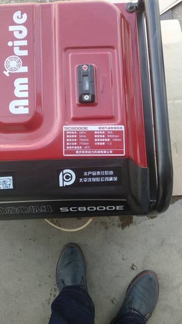 ремонт домашних генераторов: Ремонт бензогенераторов компрессоров бензо пилы электро пилы газона — 2