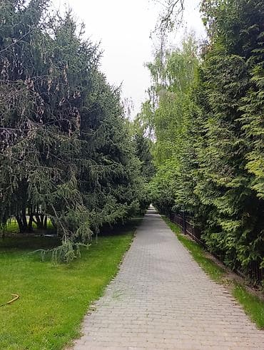 3 3: Сдаётся квартира-студия на берегу Иссык-Куля в центре отдыха "Радуга" — 9