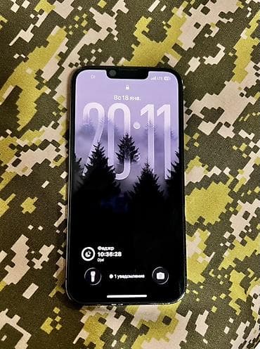 iphone хs max: IPhone 13 Pro, Б/у, 128 ГБ, Alpine Green, Защитное стекло, Чехол, 76 % — 2