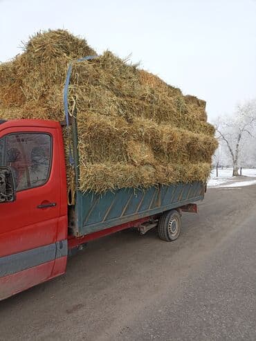 А/ч жаныбарлары үчүн тоюттар: Подпокровный 200шт аралаш доставка есть — 1