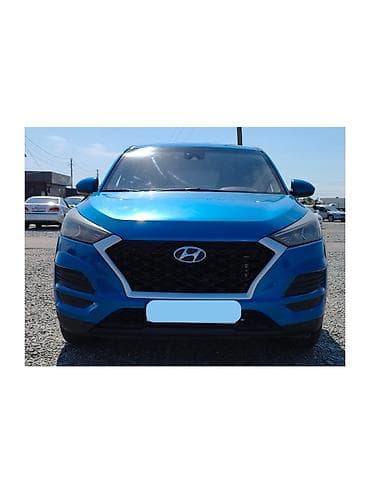 Hyundai Tucson: 2019 г., 2 л, Автомат, Бензин, Кроссовер