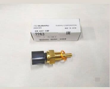 runner: Subaru — 1