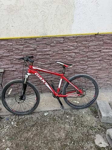 Велосипеддер: Тоо велосипеди, Giant, Велосипед алкагы L (172 - 185 см), Алюминий — 3