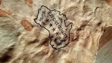 дополнительные приборы: Продаю кожу В отличном состоянии Тел 0.55. 9. 3. 2. 0. 5. 3. 1 Есть — 1