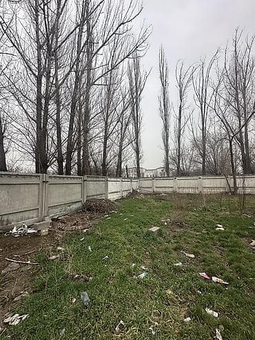 с орок: 7 соток Бизнес үчүн — 2