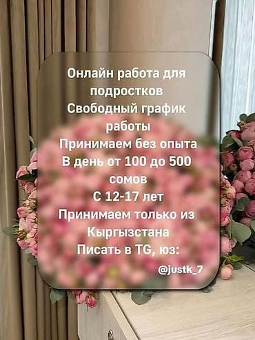 эссенс кыргызстан личный кабинет: Для подростков (Кыргызстан) - Формат: удалённая работа - График — 1