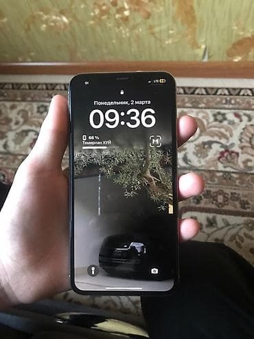 apple wath ultra: IPhone X, Серебристый, 66 % — 3
