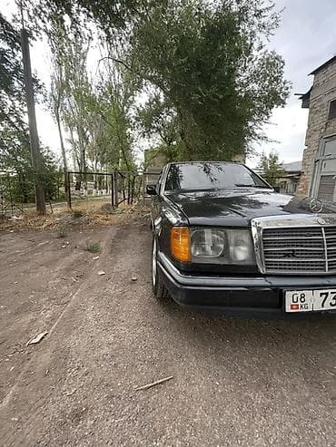 Mercedes-Benz W124: 1989 г., 2 л, Кол менен иштөөчү, Газ, Седан — 4