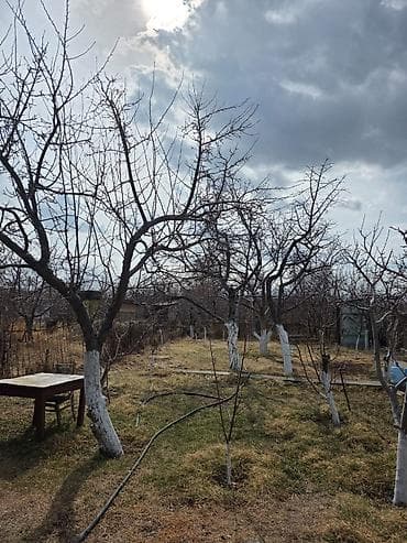 продам гараж металлический разборный: Дача с участком и постройками - Кирпичный дом с остеклённой верандой — 8