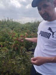 семена микрозелени бишкек: Другие виды семян и саженцев — 4