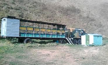 Продаётся действующая пасека в хорошем состоянии. Крытый павильон at lalafo.kg Продаётся действующая пасека в хорошем состоянии. Крытый павильон