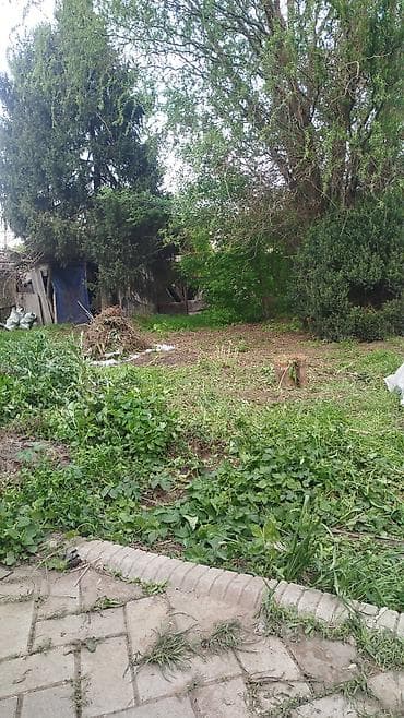 samsung galaxy a5 2016: Уборка территории, Уборка двора и сада — 4