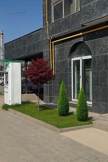 Швея: Ландшафтный дизайн Автополив под ключь 👌🏻🏡 Аман звоните — 5