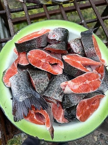 копченая рыба иссык куль: Охлаждённая/замороженная рыба лососевых пород, подготовленная к — 4