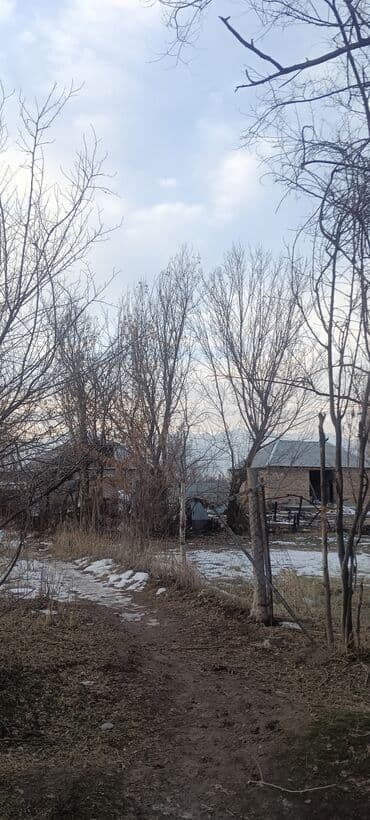 покупаю дом: 8 соток, Для сельского хозяйства, Красная книга — 1