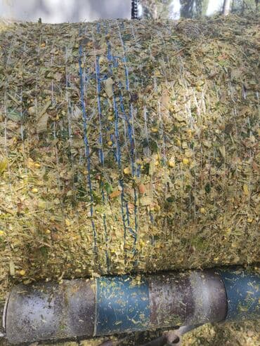 оборудование для кур несушек цена: Силос хорошего качества 8 сом оптом с выше 15 тон без погрузка в — 7