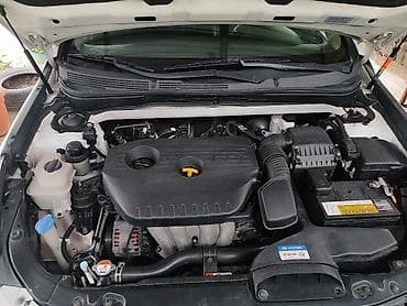 Кузов бөлүктөрү: Алдыңкы тирөөчтөрдүн кергичи Hyundai — 2