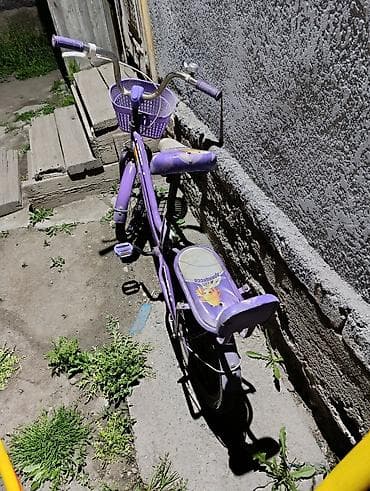 вело коляска: Детский велосипед, 2-колесный, 4 - 6 лет, Для девочки — 4