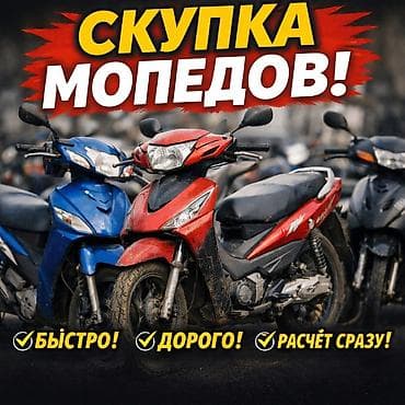 про мотоциклы: Скупка мопедов в любом состоянии быстро и выгодно удобно звоните или — 1