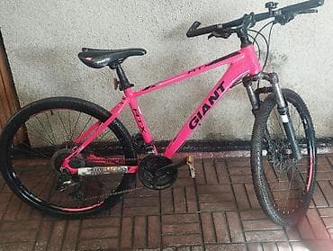 Велосипеддер: Тоо велосипеди, Giant, Велосипед алкагы M (156 - 178 см), Алюминий, Колдонулган — 6