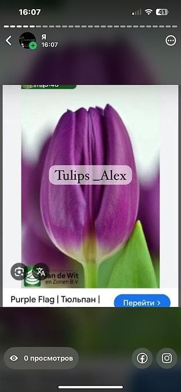 Садовая мебель: Тюльпаны оптом — 5