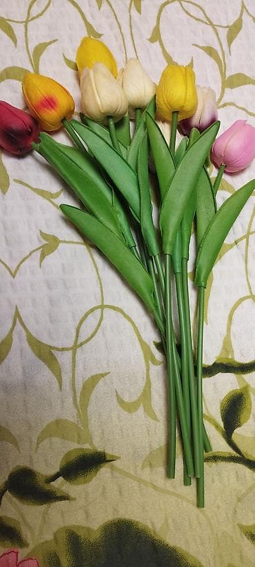 лук цена бишкек 2023: Продаю искусственные тюльпаны из Германии, новые 500 сом штука — 3