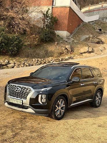 transporter multivan: Hyundai Palisade: 2020 г., 2.2 л, Автомат, Дизель, Кроссовер — 1