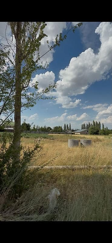 5 соток, Курулуш, Кызыл китеп — 3