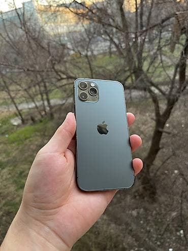 IPhone 12 Pro, Новый, 128 ГБ, Графит, Чехол, 74 %