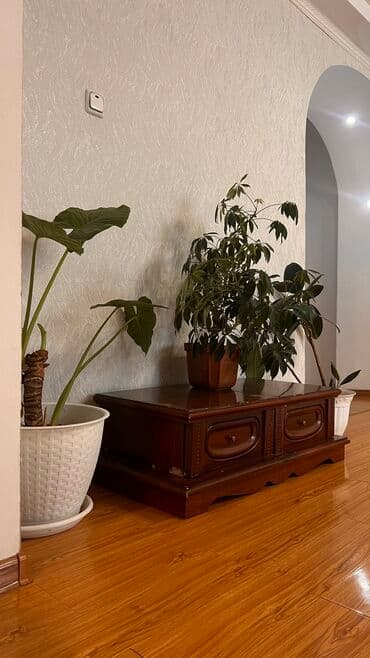 сдаётся комната гост типа чолпонатинская собственник: Хостел «Lodge» — ваш уютный уголок у склонов! Размещение: · Общие — 19