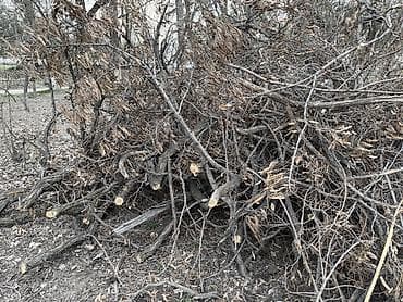 уголок каракол: Дрова Самовывоз — 2