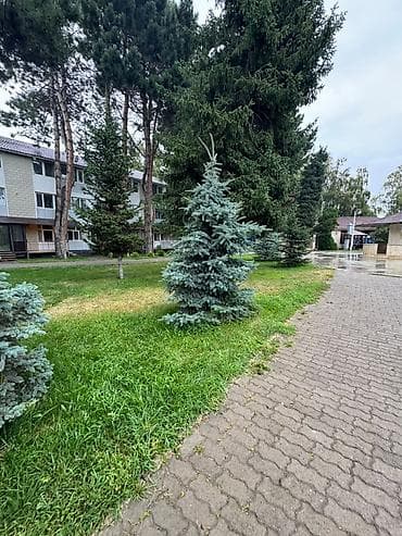 2 уровня: 2 комнаты, 50 м², 1 этаж, Евроремонт — 4