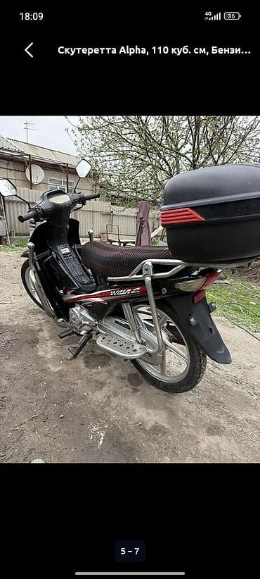 Скутеры: Скутеретта Alpha, 110 куб. см, Бензин — 2