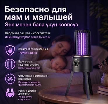 study lamp: Москитная сетка — 2