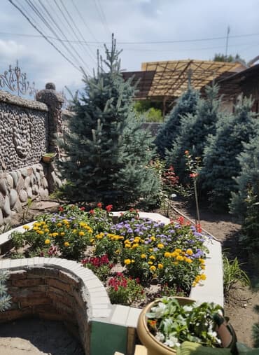 Дом, 700 м², 8 комнат, Собственник, Дизайнерский ремонт