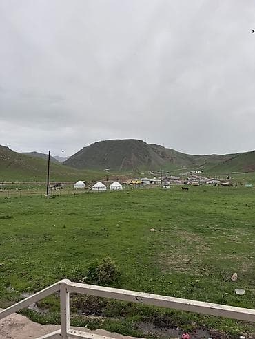 Идиш жуугучтар: Талап кылынат Идиш жуучу — 4