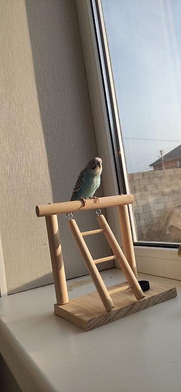 Домик‑клетка для волнистых попугаев с аксессуарами - Металлическая