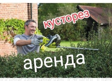 триммер электро: Триммер Электрический — 1