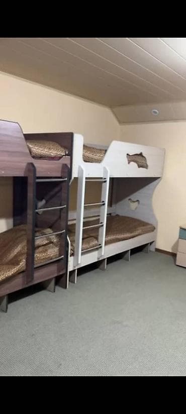 Кровати: Двухъярусная кровать, Б/у, С выкатной системой — 3
