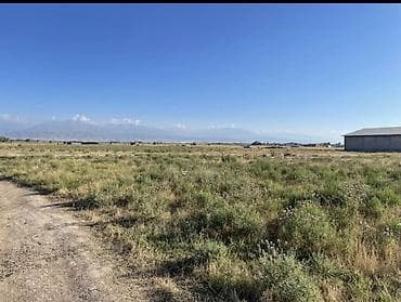 423 соток, Курулуш, Кызыл китеп, Сатып алуу-сатуу келишими — 2