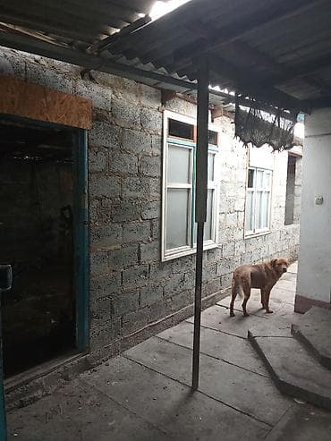 Ашкана буюмдары: Дом с двором и капитальным забором из профлиста - Отдельно стоящий — 9