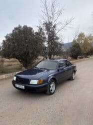 мерс 124 газ бензин: Audi 100: 1992 г., 2 л, Механика, Бензин, Седан — 2