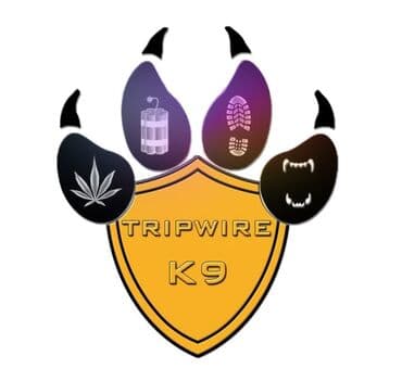 Собаки: Опытный кинолог, стаж работы более 20лет. Дрессировка собак, коррекция — 3