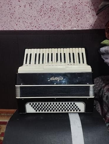 водная техника: Аккордеон «Аккорд» - Клавиатурная сторона: 37 клавиш (белая — 1
