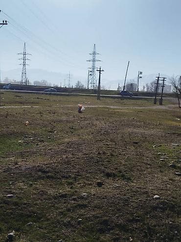 Жер тилкелерин сатуу: 6 соток, Курулуш, Кызыл китеп — 5