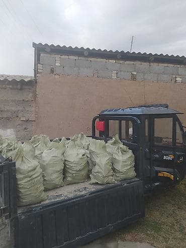 fit 2006: Грузовой трицикл BOBO Motors с самосвальным кузовом. Основные — 4