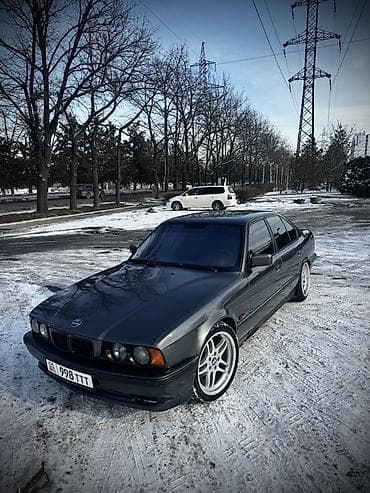 BMW 5 series: 1995 г., 2.5 л, Механика, Бензин, Седан