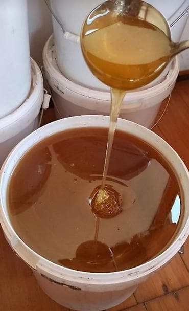 мед цена за 1 литр: Токтогулдун таза балы сатылат
бачогу 24л 33кг чыгат — 1