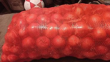 другие товары: Лук Оптом, Бесплатная доставка — 1